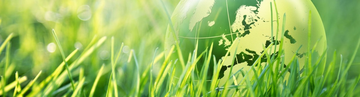 Environment